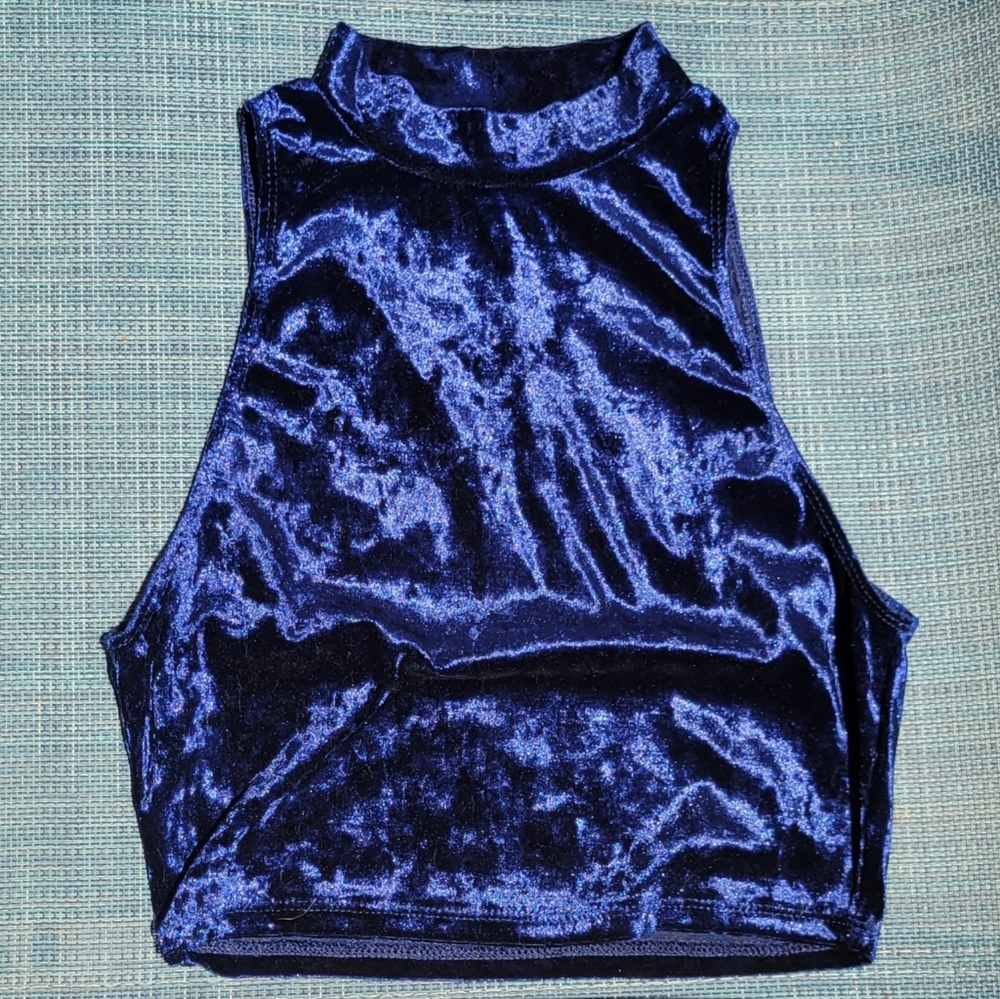 Velvet Crop Top